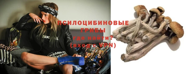 дурь Алексин