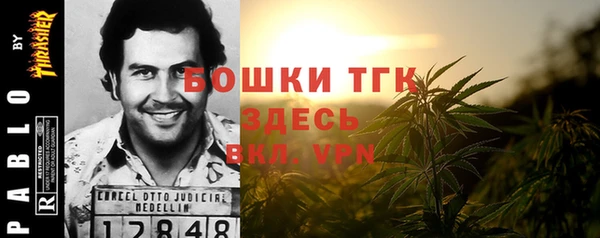 дурь Алексин