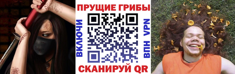 Галлюциногенные грибы ЛСД  blacksprut ССЫЛКА  Хотьково 
